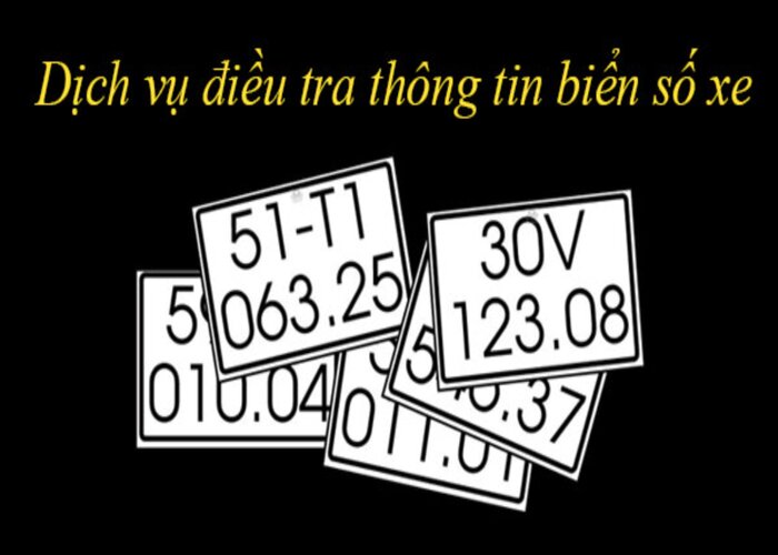 dich-vu-dieu-tra-bien-so-xe